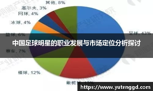 中国足球明星的职业发展与市场定位分析探讨