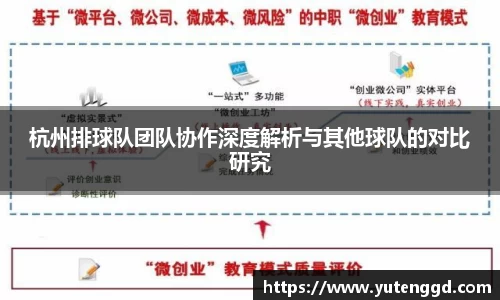 杭州排球队团队协作深度解析与其他球队的对比研究